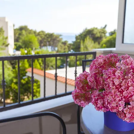Meri - Puharic Guest house